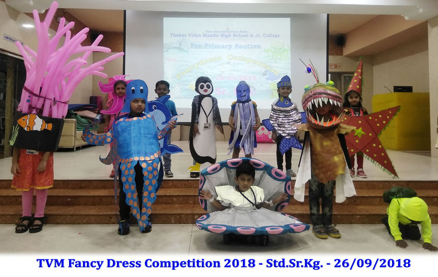 Fancy Dress Competition